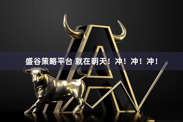 盛谷策略平台 就在明天！冲！冲！冲！