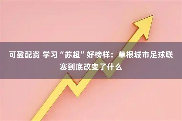 可盈配资 学习“苏超”好榜样：草根城市足球联赛到底改变了什么