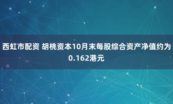 西虹市配资 胡桃资本10月末每股综合资产净值约为0.162港元