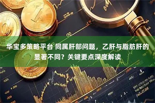 华宝多策略平台 同属肝部问题，乙肝与脂肪肝的显著不同？关键要点深度解读
