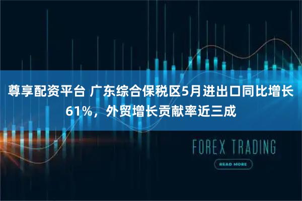 尊享配资平台 广东综合保税区5月进出口同比增长61%，外贸增长贡献率近三成